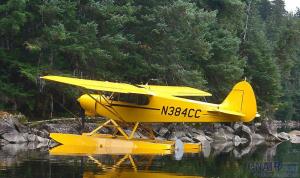 Top Cub 顶级型小熊飞机